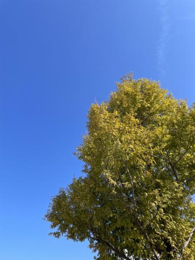 デビューです😊 ハルト (40) 香川県（出張性感マッサージ