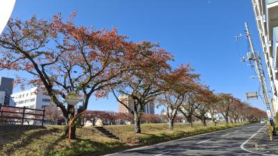 はじめ (52) 水戸 萬天堂 / 出張性感マッサージ