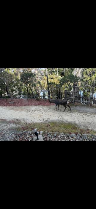 慶次 (46) 四日市 萬天堂 / 出張性感マッサージ