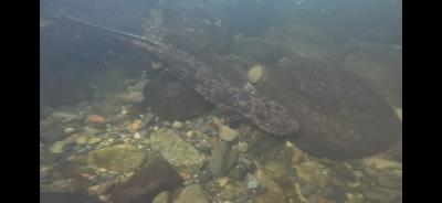 はるか (28) 名古屋 萬天堂 / 出張性感マッサージ