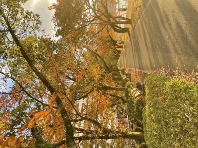 🍁紅葉!!🍁 まお (27) 広島県（出張性感マッサージ