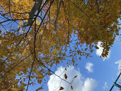 琥太郎 (36) 岐阜 萬天堂 / 出張性感マッサージ