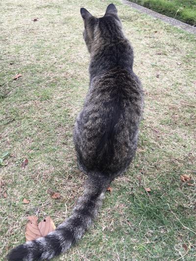 岳 (50) 松山 萬天堂 / 出張性感マッサージ