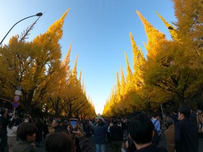 紅葉の季節 奈瀬 (28) 東京都（出張性感マッサージ