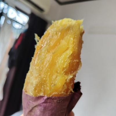 颯真 (39) 福岡 萬天堂 / 出張性感マッサージ