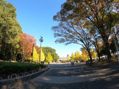 11月の思い出🤔 奈瀬 (28) 東京都（出張性感マッサージ