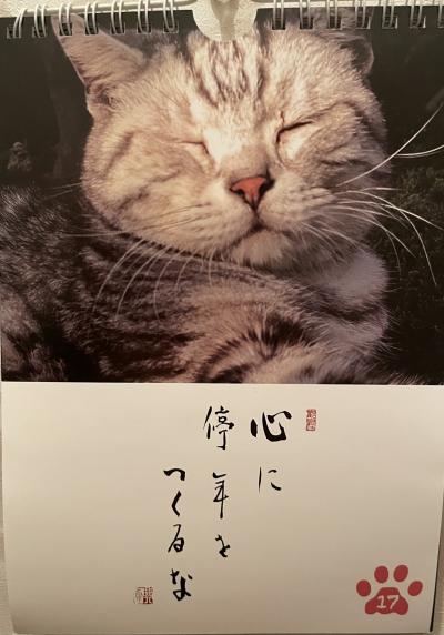 無事これ名馬 静 (60) 愛知県（出張性感マッサージ