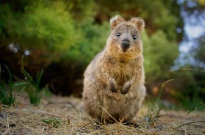 然 (41) 千葉 萬天堂 / 出張性感マッサージ