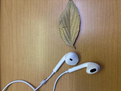 連休ですね。 スグル (51) 大阪府（出張性感マッサージ