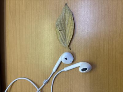 連休ですね。 スグル (51) 大阪府（出張性感マッサージ