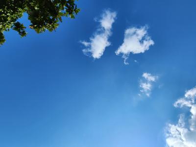 To-ji (32) 沖縄 萬天堂 / 出張性感マッサージ