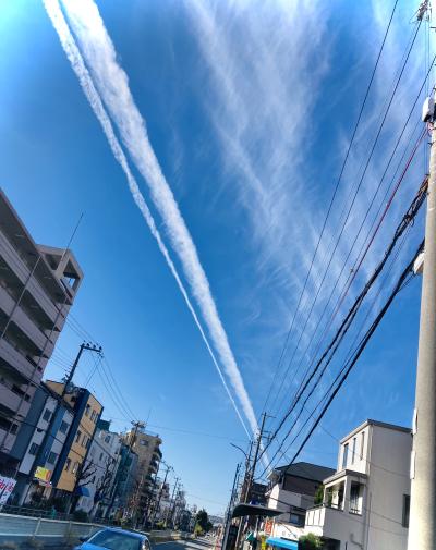 まどか (50) 大阪 萬天堂 / 出張性感マッサージ