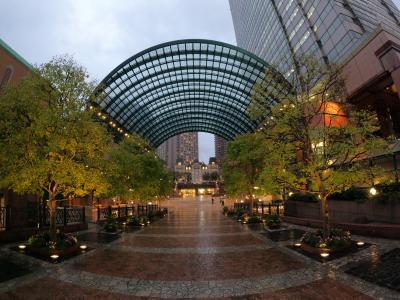 遠回りしてイルミ 奈瀬 (28) 東京都（出張性感マッサージ