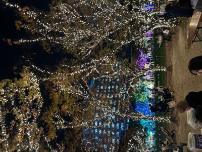 陽葵 (25) 福岡 萬天堂 / 出張性感マッサージ