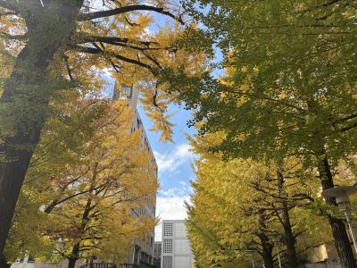 【悲報】X凍結事案多発中！ エイチ (44) 埼玉県（出張性感マッサージ