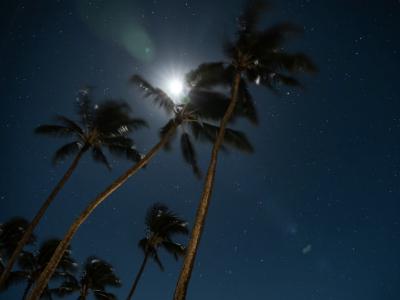 どれだけ周りを大切にしていても 椎名 (52) 東京都（出張性感マッサージ