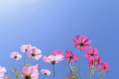 慶次 (46) 四日市 萬天堂 / 出張性感マッサージ