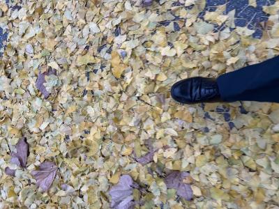 京平 (28) 新潟 萬天堂 / 出張性感マッサージ