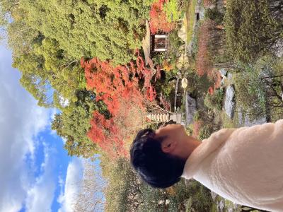 紅葉🍁見に行きたいんだが😌 申鶴 (29) 大阪府（出張性感マッサージ