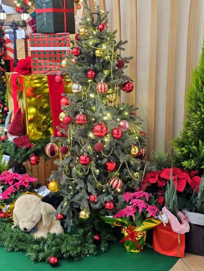 🎄 れんと (29) 大阪府（出張性感マッサージ