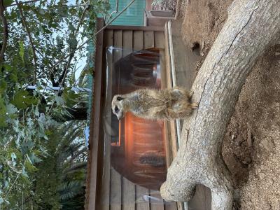 Xアカウント凍結のお知らせ みあ (33) 岡山県（出張性感マッサージ