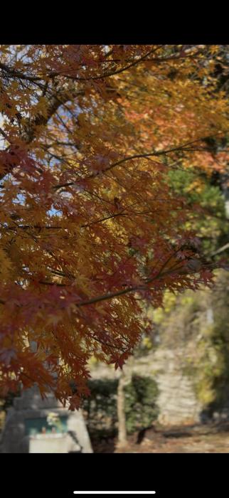湊人 (36) 東京 萬天堂 / 出張性感マッサージ