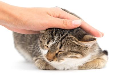 MIYABI (40) 信州 萬天堂 / 出張性感マッサージ