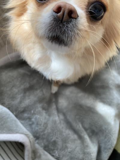 公式LINE🙆‍♀️ とも (32) 京都府（出張性感マッサージ