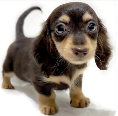 平政 (45) 広島 萬天堂 / 出張性感マッサージ