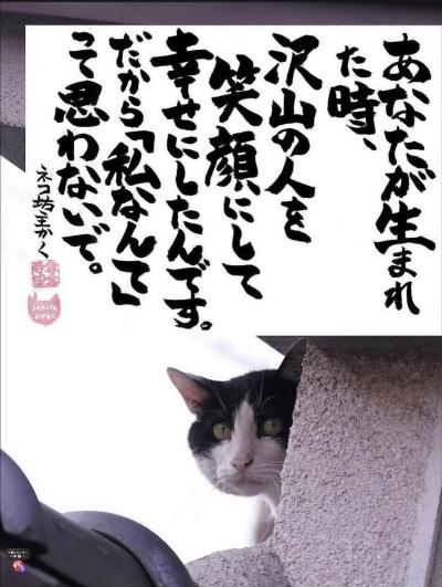 慶次 (46) 四日市 萬天堂 / 出張性感マッサージ