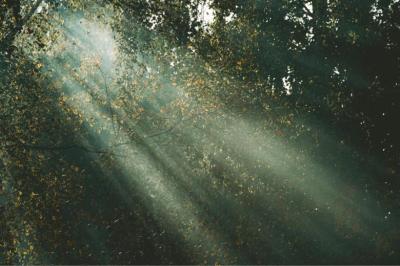 硝子の森と摩天楼と、解放される物語 龍生 (47) 埼玉県（出張性感マッサージ