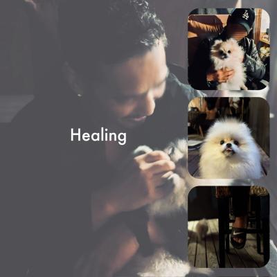 KURO (46) 京都 萬天堂 / 出張性感マッサージ