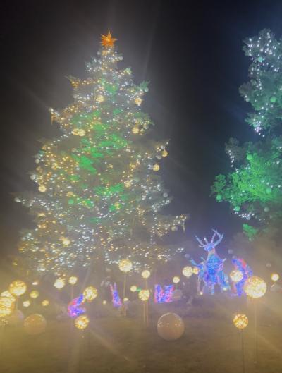 亜呂 (49) 水戸 萬天堂 / 出張性感マッサージ