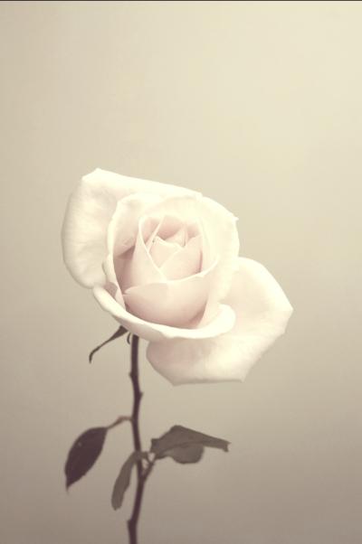 なおと (57) 東京 萬天堂 / 出張性感マッサージ