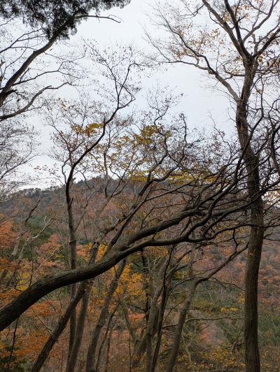 恵太 (33) 湘南 萬天堂 / 出張性感マッサージ