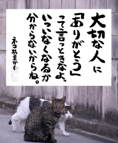 慶次 (46) 四日市 萬天堂 / 出張性感マッサージ