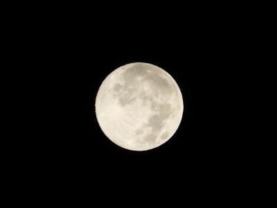 結月 (54) 宇都宮 萬天堂 / 出張性感マッサージ