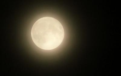 慶次 (46) 四日市 萬天堂 / 出張性感マッサージ