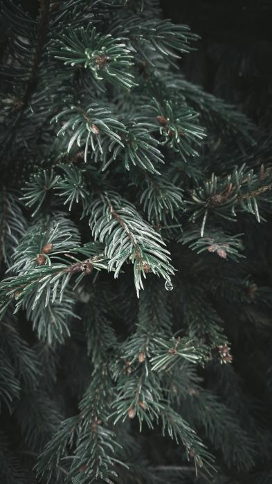 和正 (50) 名古屋 萬天堂 / 出張性感マッサージ