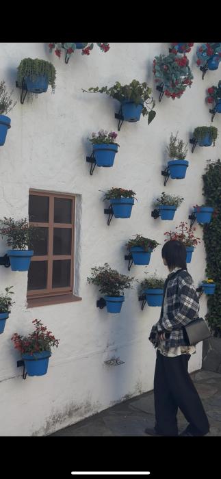 ノア (27) 岐阜 萬天堂 / 出張性感マッサージ