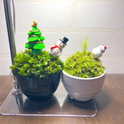 イチマル (39) つくば 萬天堂 / 出張性感マッサージ