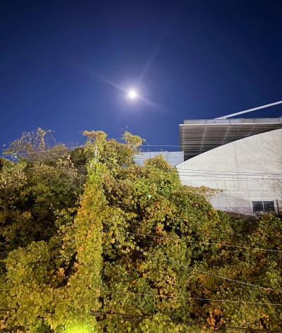 今年最後の満月 ― コールドムーンの夜に 風羽 (34) 京都府（出張性感マッサージ