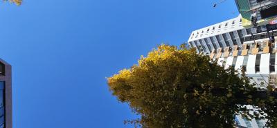 12月の紅葉サプライズ 涼介 (30) 神奈川県（出張性感マッサージ