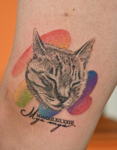 『右膝に眠る、21年のぬくもり。 風羽 (34) 京都府（出張性感マッサージ