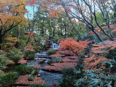 気楽に一人旅 浅葱 (51) 岐阜県（出張性感マッサージ