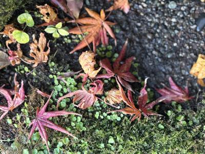 ゆーじん (32) 横浜 萬天堂 / 出張性感マッサージ