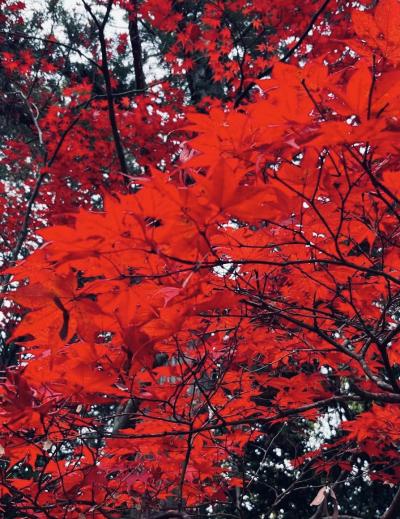 燃え 三日月 (32) 大阪府（出張性感マッサージ