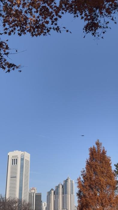 亜呂 (49) 水戸 萬天堂 / 出張性感マッサージ