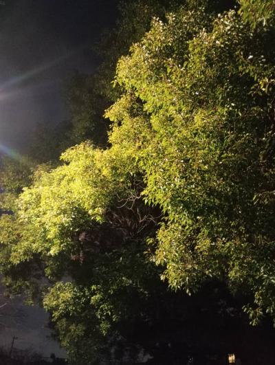 信 (33) 東京 萬天堂 / 出張性感マッサージ