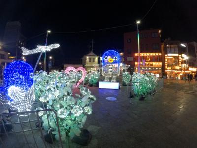 年々イルミネーションが好きになる理由 奈瀬 (28) 東京都（出張性感マッサージ